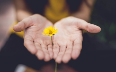 Your Voice Matters: Derbyshire VAWG Survey 2026