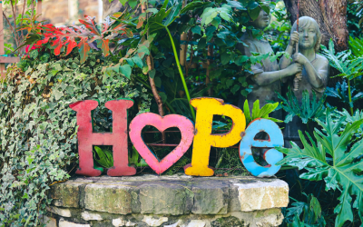 Amna’s Half Marathon Journey: Training Update