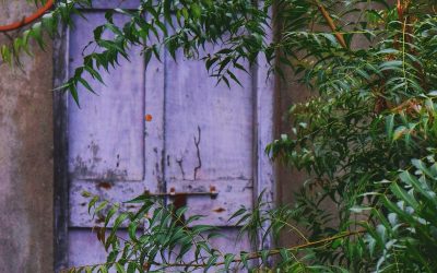 What If the Next Step Was Simply Walking Through the Door?